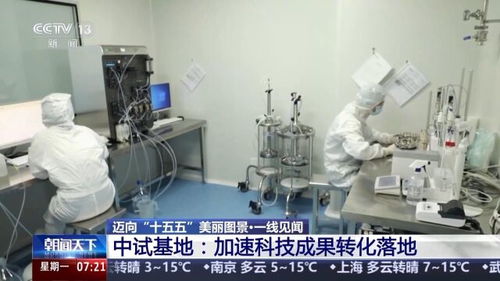 一線見聞丨順藤摸瓜 深圳科創青藤體系，如何賦能硬科技轉化？