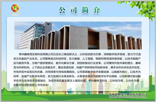 鑫峰茂 以技術服務為舟，奮力突破千層浪，勇者踏平萬重山